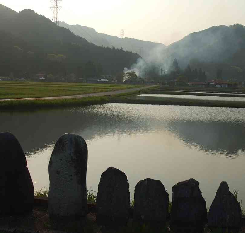 ４月の里山風景２