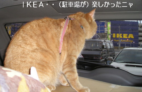 ＩＫＥＡ楽しかったね