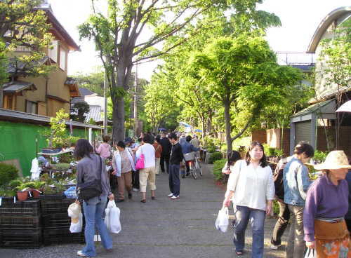盆栽町で盆栽祭り 埼玉県 猫すごろく ねこすごろく ネコスゴロク 楽天ブログ