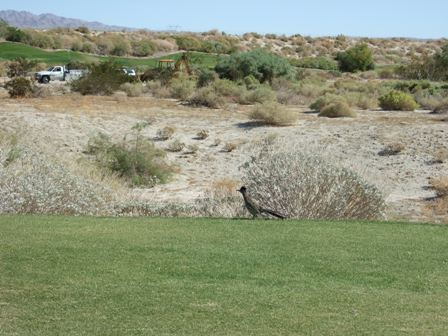 Palm Springs 067.jpg