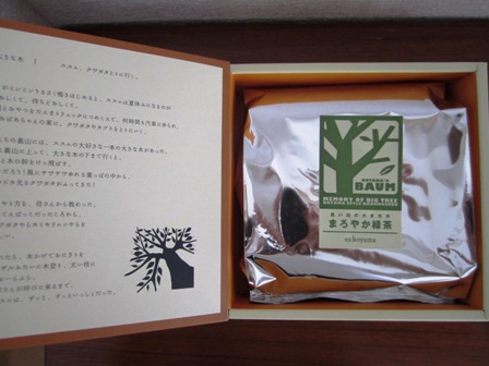 こやまばうむ３