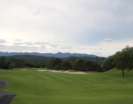 タイガース１番H