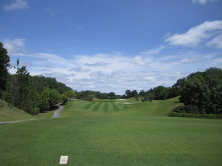 タイガース１３番H