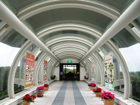 スタジオアリス