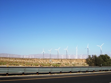 Palm Springs day2-1.jpg