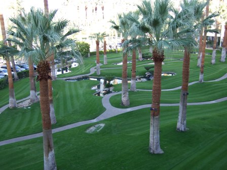 Palm Springs DAY2-2.jpg