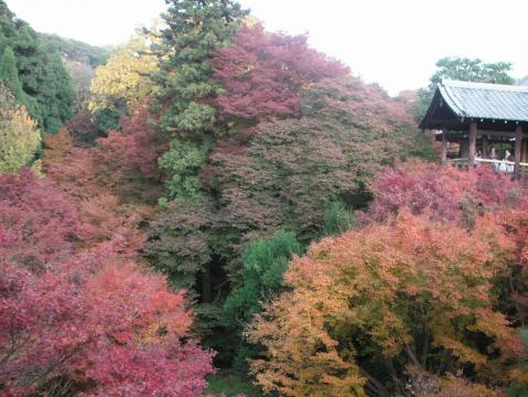 東福寺３