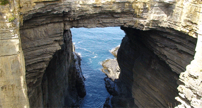 tasmanarch.gif