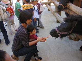 野市動物園（馬