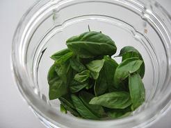 basil leaf.jpg