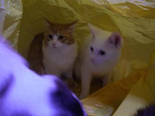 CIMG0789.JPG