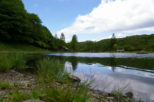 52s-IMGP4181.jpg