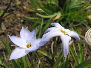 IMG_0364.jpg