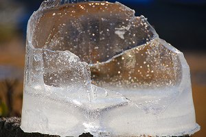 IMG_0956.jpg