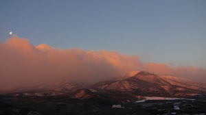 IMG_8595.jpg