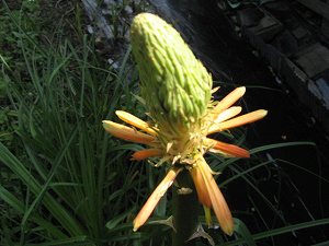 画像 018.jpg
