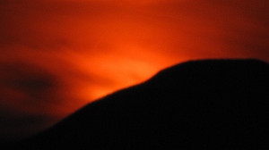 IMG_9228.jpg