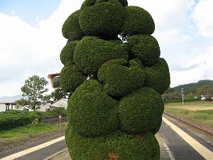 IMG_6076.jpg