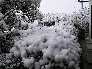 画像 101.jpg