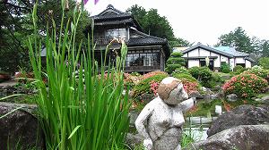 IMG_2212.jpg