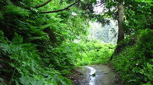 IMG_1695.jpg