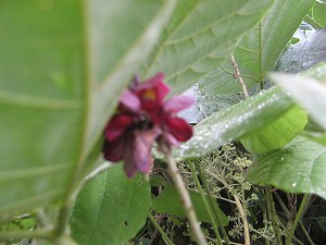 IMG_5480.jpg