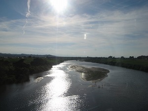 IMG_5207.jpg