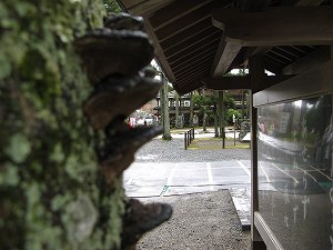 画像 028.jpg