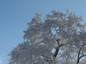 画像 008.jpg