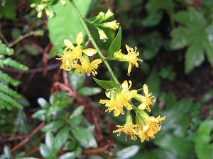 IMG_5482.jpg