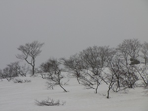 画像 034.jpg