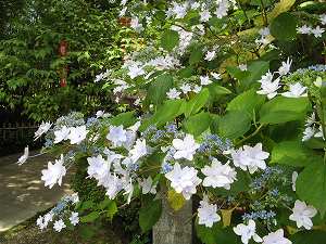 画像 018.jpg