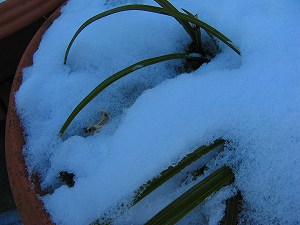 IMG_1099.jpg