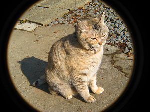 IMG_0641.jpg