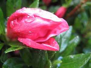 画像 078.jpg