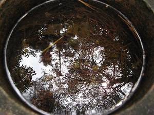 IMG_3861.jpg