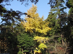 画像 249.jpg