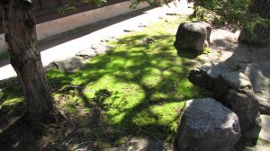 画像 103.jpg