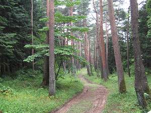 IMG_3852.jpg