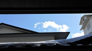 IMG_8686.jpg