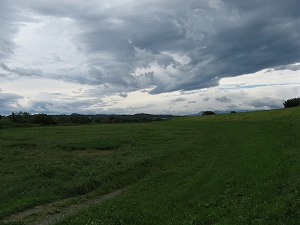 IMG_4190.jpg