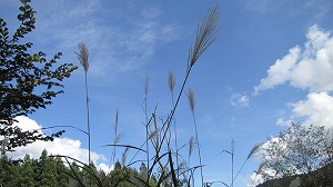 画像 042.jpg
