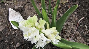 画像 023.jpg