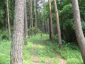 IMG_3864.jpg
