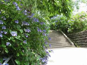 画像 002.jpg