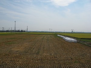 IMG_5262.jpg