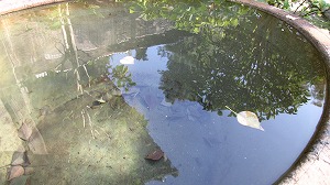 画像 255.jpg