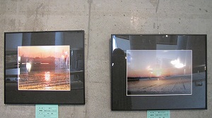 IMG_3728.jpg