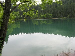 IMG_3420.jpg