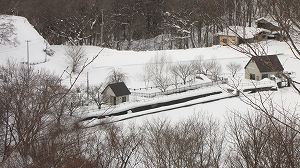 IMG_8713.jpg
